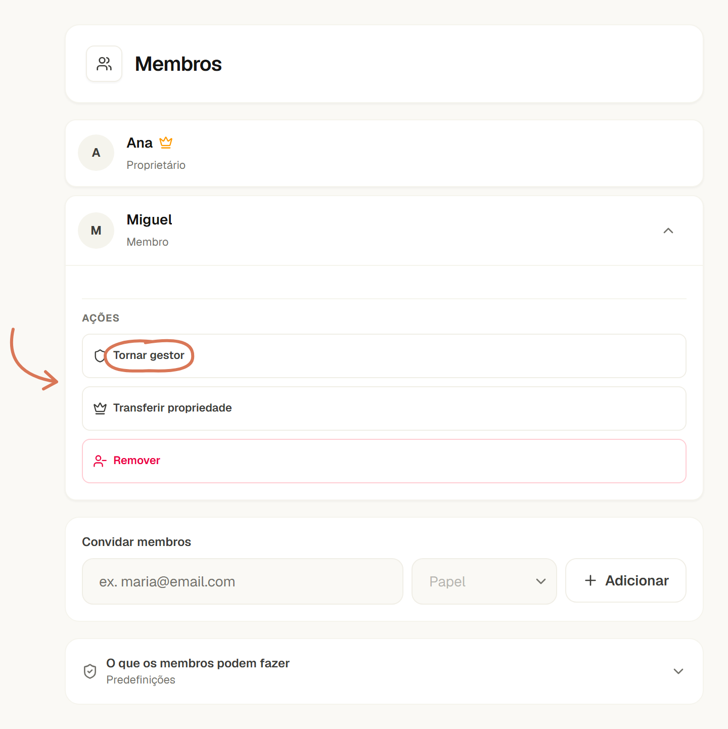 Membros com as ações de Miguel expandidas: tornar gestor, transferir propriedade e remover.